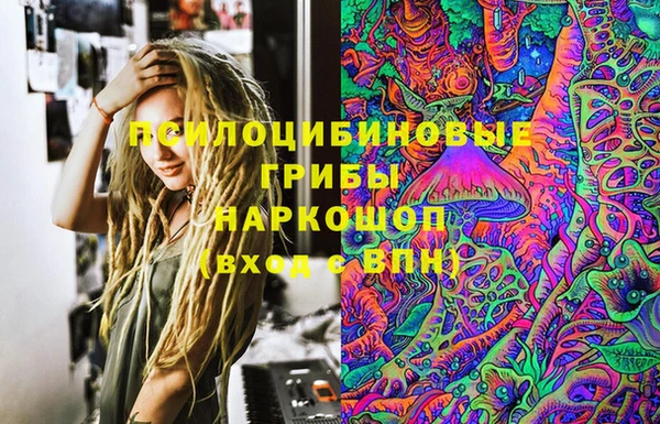 сатива Алексин