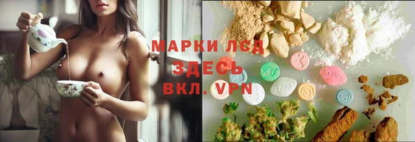 сатива Алексин
