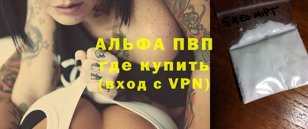 прущие грибы Абинск