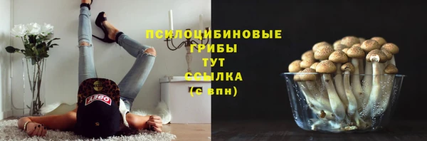 сатива Алексин